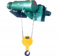 Nonstandard Electric Hoist