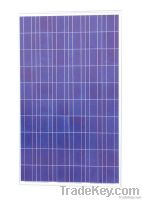 solar panel poly 230w