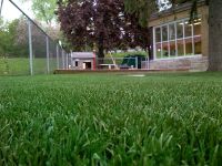 Artificial Grass