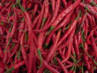 Red chillies