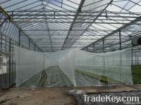 Agriculture Insect Netting PE + UV stabilized