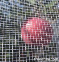 Apple tree hail netting  Anti hail nets  Pe + UV