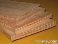 Plywood