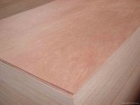 3.2mm okoume commercial plywood for furniture