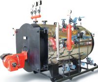 Mechatronic Package Steam Boiler