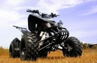 ATV Go Kart Buggies Sales