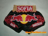 Muay Thai Shorts