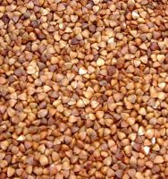 ROASTED BUCKWHEAT KERNELS