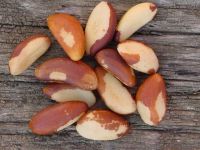 https://fr.tradekey.com/product_view/Brazil-Nut-1497688.html