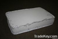 Cushion