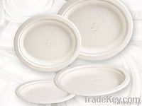 Bagasse Oval Plate