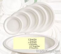 6" 7" 9" 10" Sugar Cane Bagasse Round Plate Disposable Plate in White