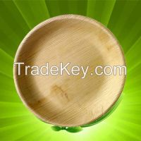 Areca Leaf Plates