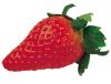 Organic Strawberry  Puree (ETKO certificate confirmed by Lacon)