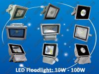 LED Flood Light