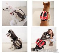 Doggy's Backpack