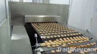 COOKIES PRODUCTION LINE