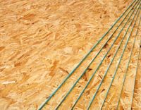 Oriented Strand Board Plywood