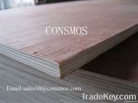 bintangor veneer plywood