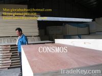 Linyi bintangor commercial plywood factory