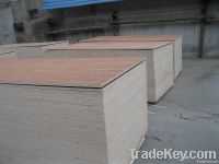 High quality keruing veneer plywood