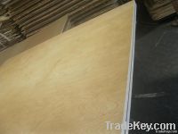Good Quality brich veneer plywood
