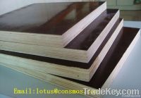 Black Film Faced Plywood, shuttering plywood, laminated plywood