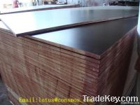 Black/ brown Film Faced Plywood, shuttering plywood, laminated plywood
