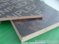 Film Faced Plywood, laminated plywood, shuttering plywood