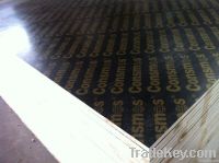 Film Faced Plywood/Shuttering Panel/Formwork Construction Plywood