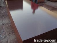 Phenolic plywood, shuttering panel, concerete formwork plywood