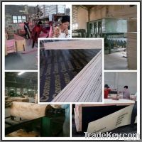 China Film Faced Plywood/Linyi Plywood/Shuttering Plywood