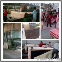 China film faced plywood for outdoor use