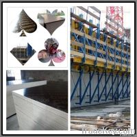 Shandong Film Faced Plywood/18mm Shuttering Plywood/Plywood Suppliers
