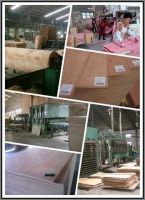 Consmos plywood, commercial plywood, plywood manufacturer, 18mm plywood, China manufacturer