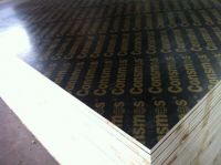 shuttering plywood, marine plywood, film face ply, cheap film faced plywood