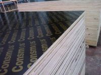 marine plywood, 9mm film face ply, cheap film faced plywood, plywood manufacturer