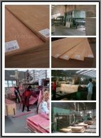Linyi Plywood, cheap plywood, good plywood, poplar core plywood