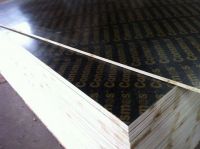 Shandong Consmos Film Faced Plywood Supplier/18mm Shuttering Plywood/China manufacturer