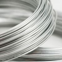 Silver Wires