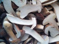 2013 New Crop Frozen Boletus Edulis(half cut)