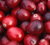 Cranberry Fruit Extract Vaccinium Macrocarpon Extract