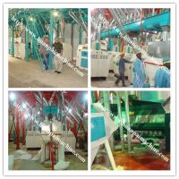 maize flour mahcinery, wheat flour mill, food processing machinery