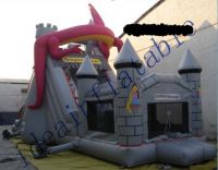 Inflatable Combo Castle