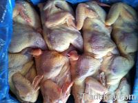 Frozen Whole Chicken