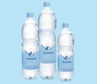 Termen - Swiss mineral water - still - PET