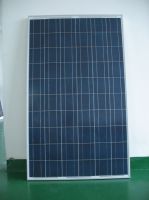 Poly Solar Panel 220W