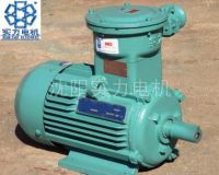 Flameproff Three Phase Induction Motors