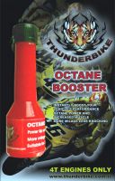 Thunderbikepower Fuel System Cleaner for Motorcycle