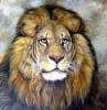Animal/birds Oil Painting